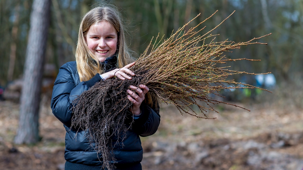 Lierop boomplantdag (18).jpg - Lierop boomplantdag